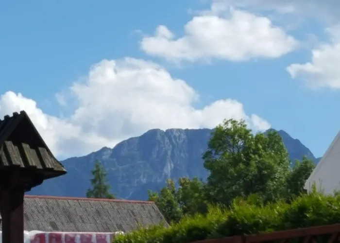 Zakogiewont